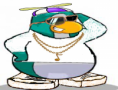 ?????????